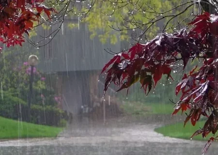 ۳۹ درصد بارش‌ باران نسبت به سال گذشته کاهش یافته است