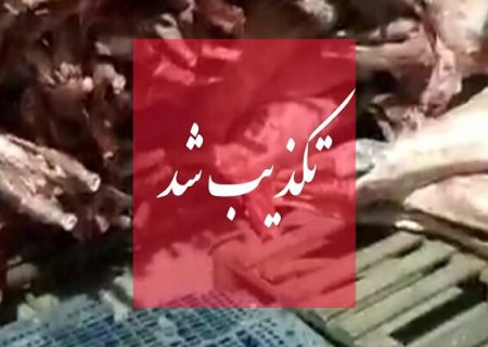 تکذیب واردات گوشت حرام/ مردم گوشت را تنها با آرم دامپزشکی بخرند