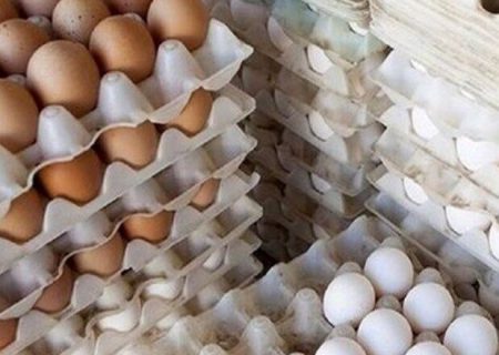 پلمب کارگاه تخم مرغ های تاریخ گذشته در ری