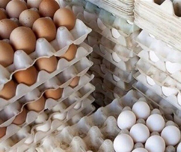 پلمب کارگاه تخم مرغ های تاریخ گذشته در ری